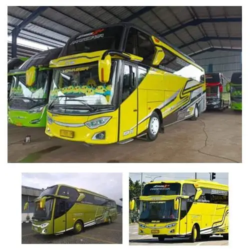 Big Bus SHD